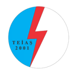 teias-contractor-turkey